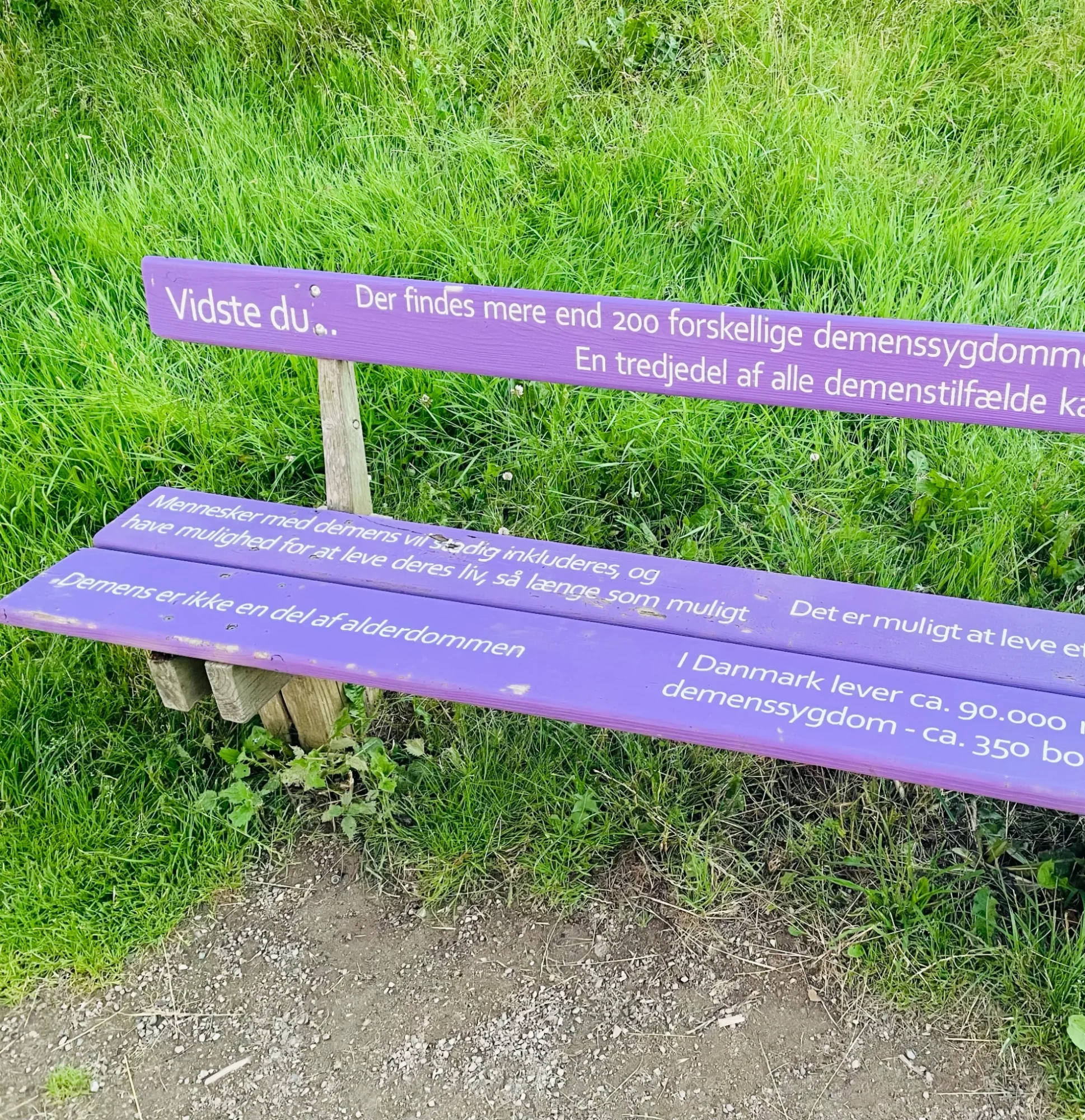 Demens og Alzheimer – forstå sygdommen og få den rette hjælp 